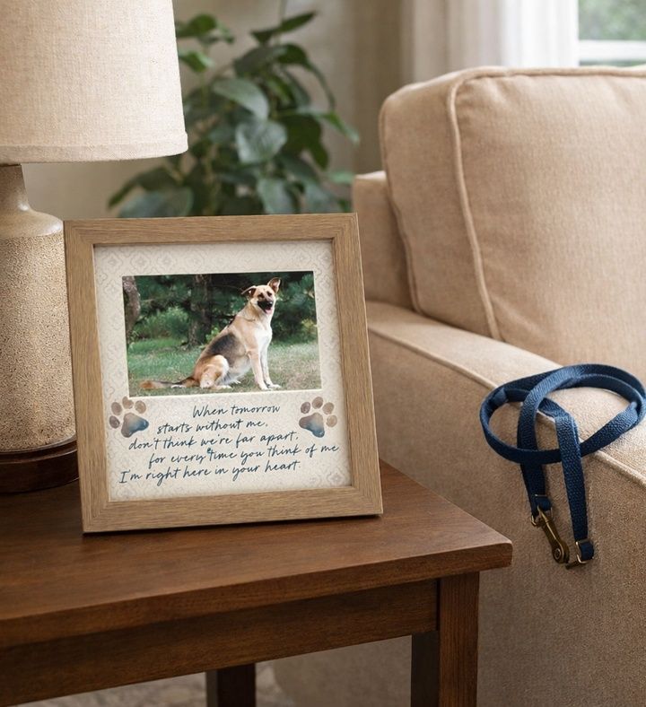 Pet Memorial Frame Sympathy Gift, Pet Loss Gifts for Passing of a Faithful Friend