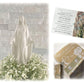 Statue of Virgin Mary with Prayer Card and Refrigerator Magnet